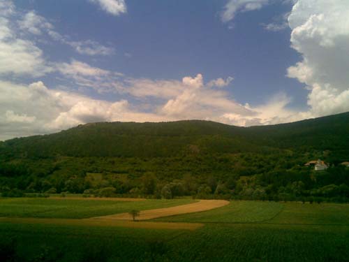 ����������� ���� 2009 � 1389.org.rs